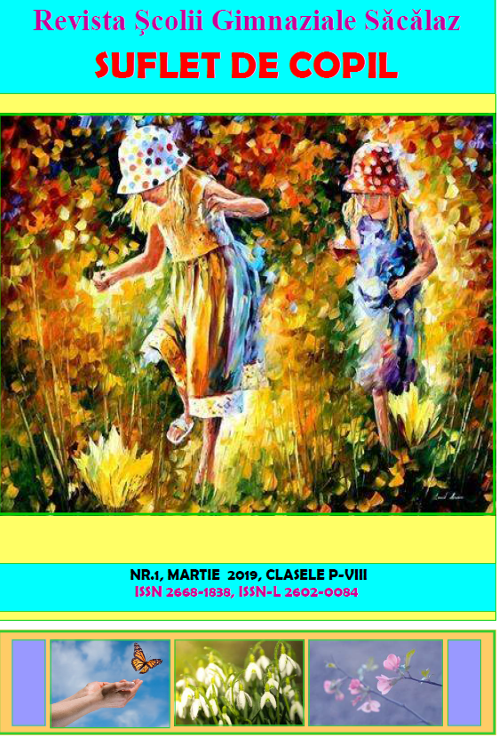Suflet de copil nr. 1