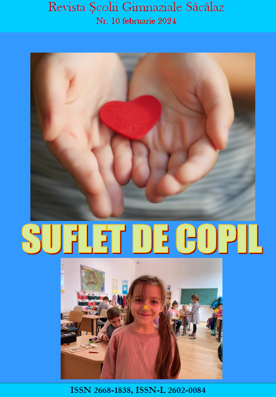 Suflet de copil nr. 10