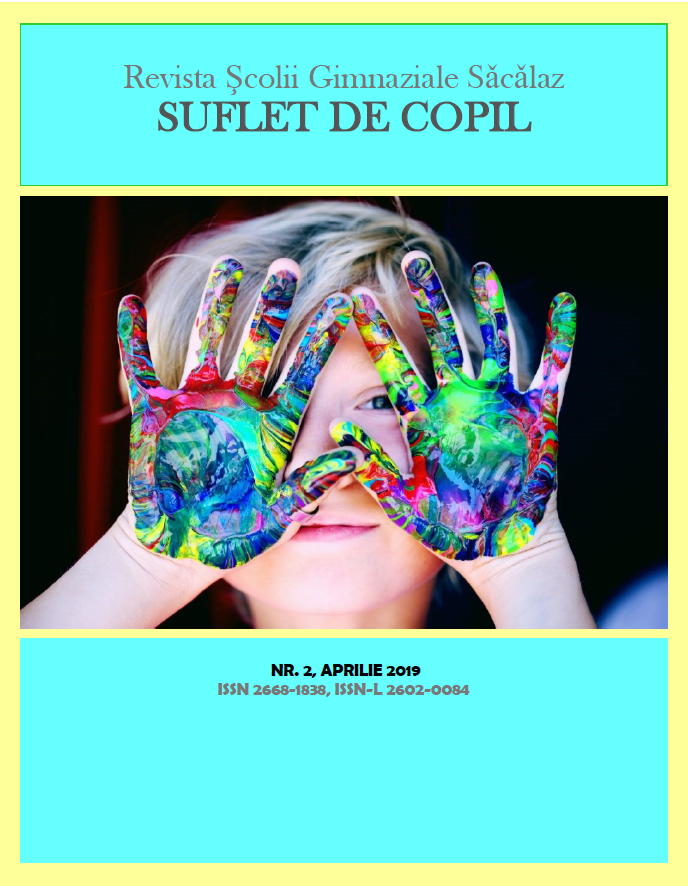 Suflet de copil nr. 2