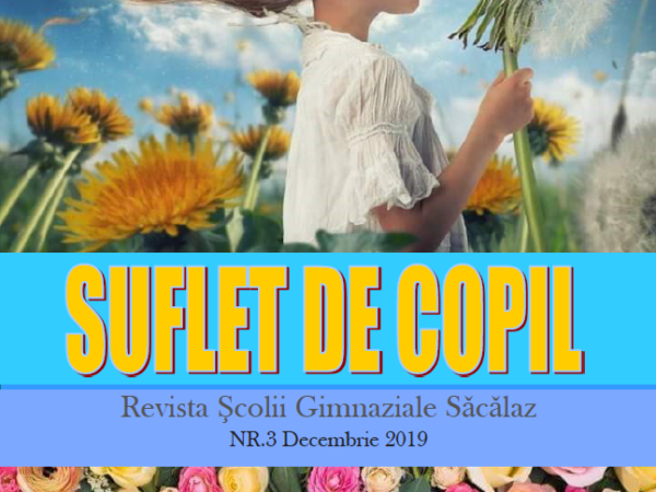Suflet de copil nr. 3
