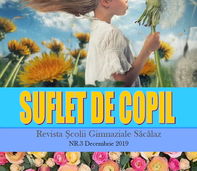 Suflet de copil nr. 3
