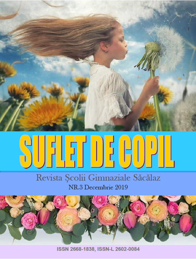 Suflet de copil nr. 3