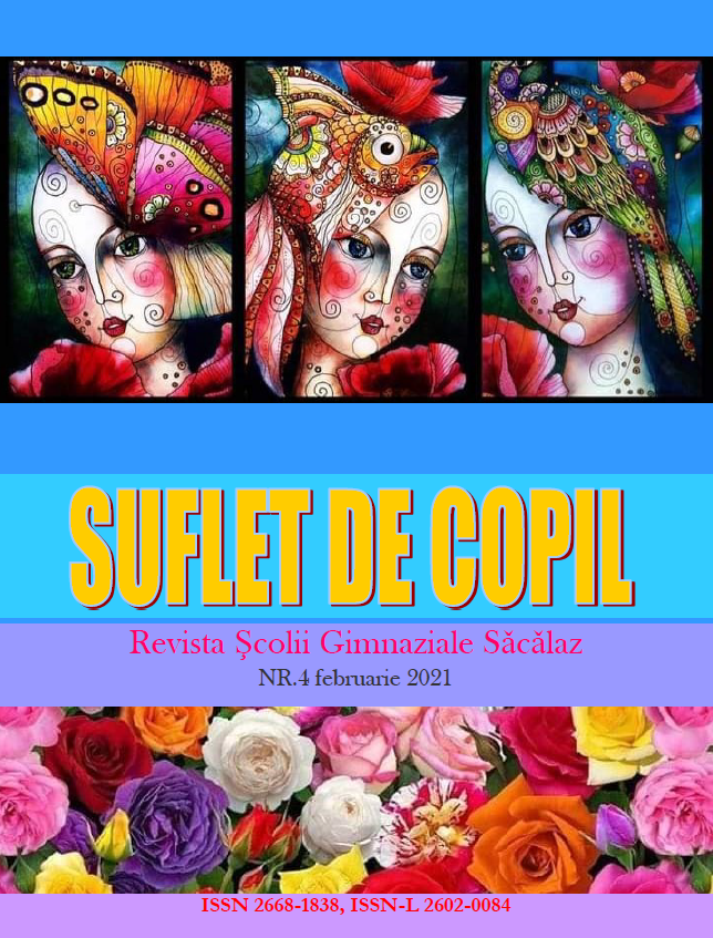Suflet de copil nr. 4