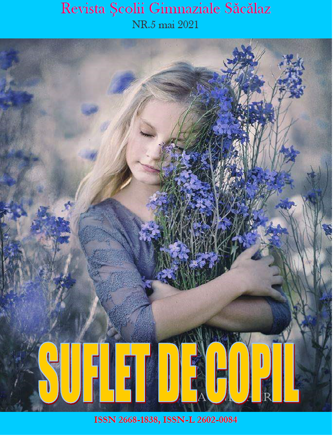 Suflet de copil nr. 5