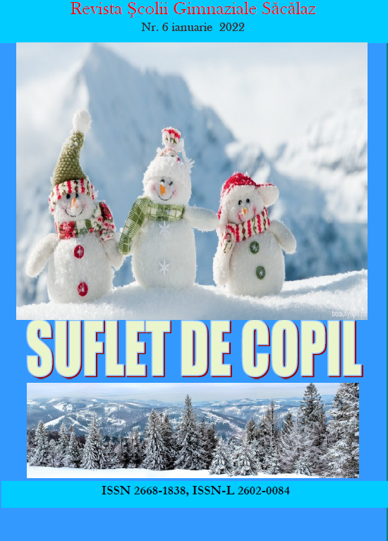 Suflet de copil nr. 6