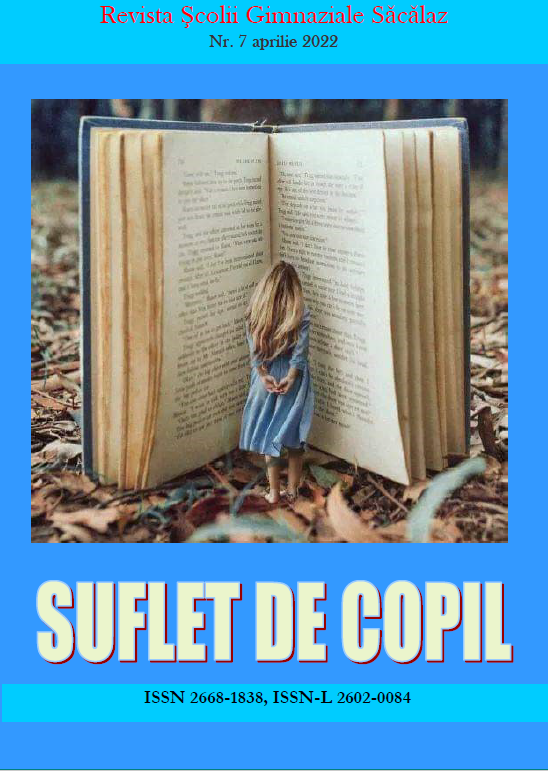 Suflet de copil nr. 7
