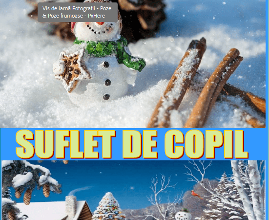 Suflet de copil nr. 8
