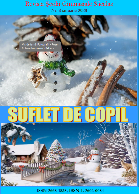 Suflet de copil nr. 8