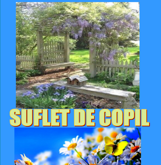 Suflet de copil nr. 9