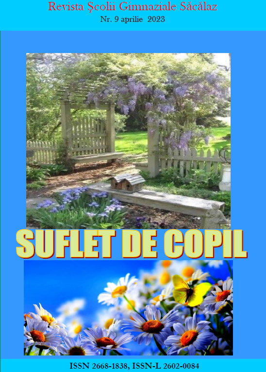 Suflet de copil nr. 9